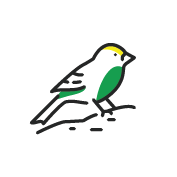 isnea populations oiseaux france